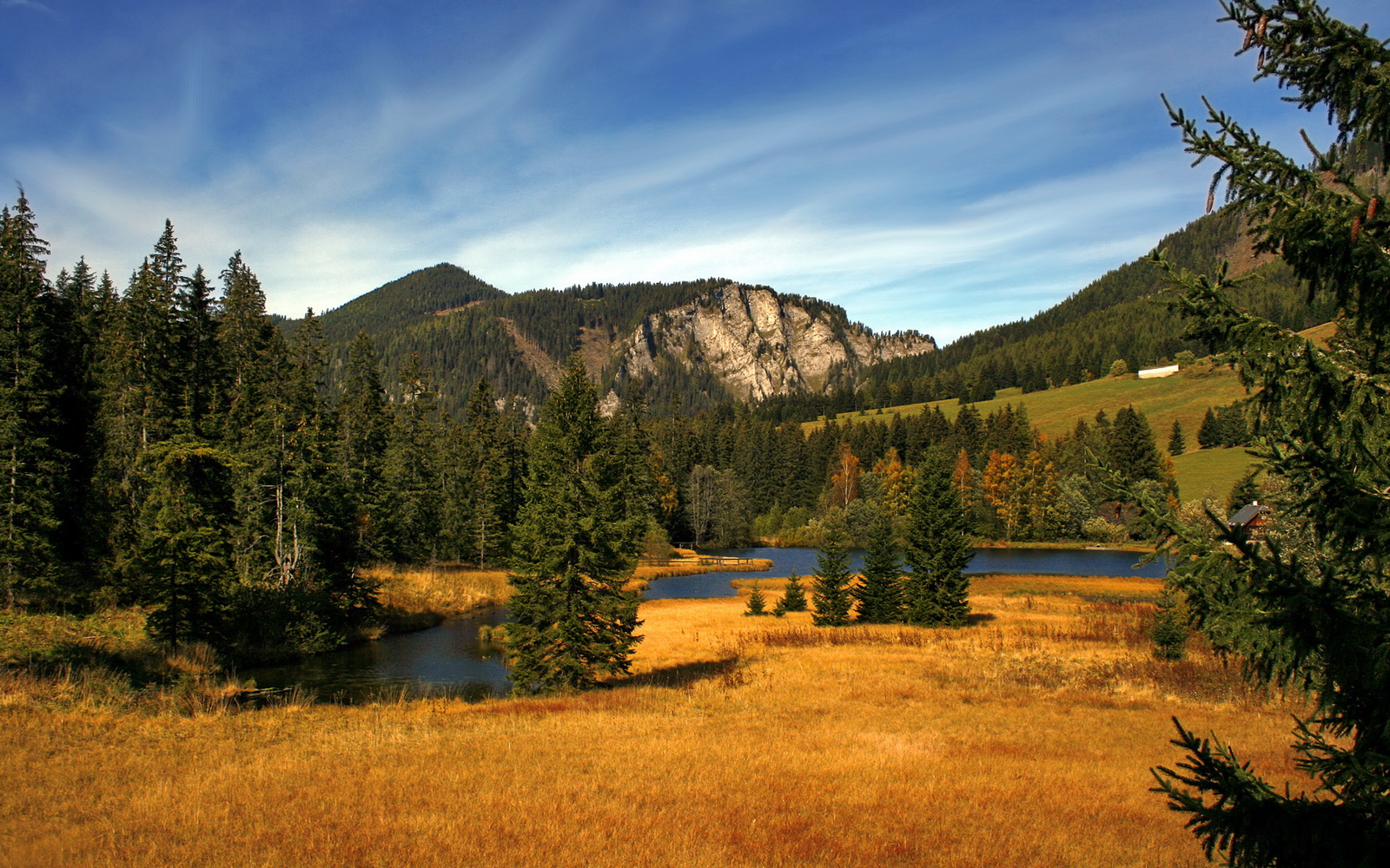 开云-莱比锡诚意十足，科隆防线如何抵御？，科隆与莱比锡