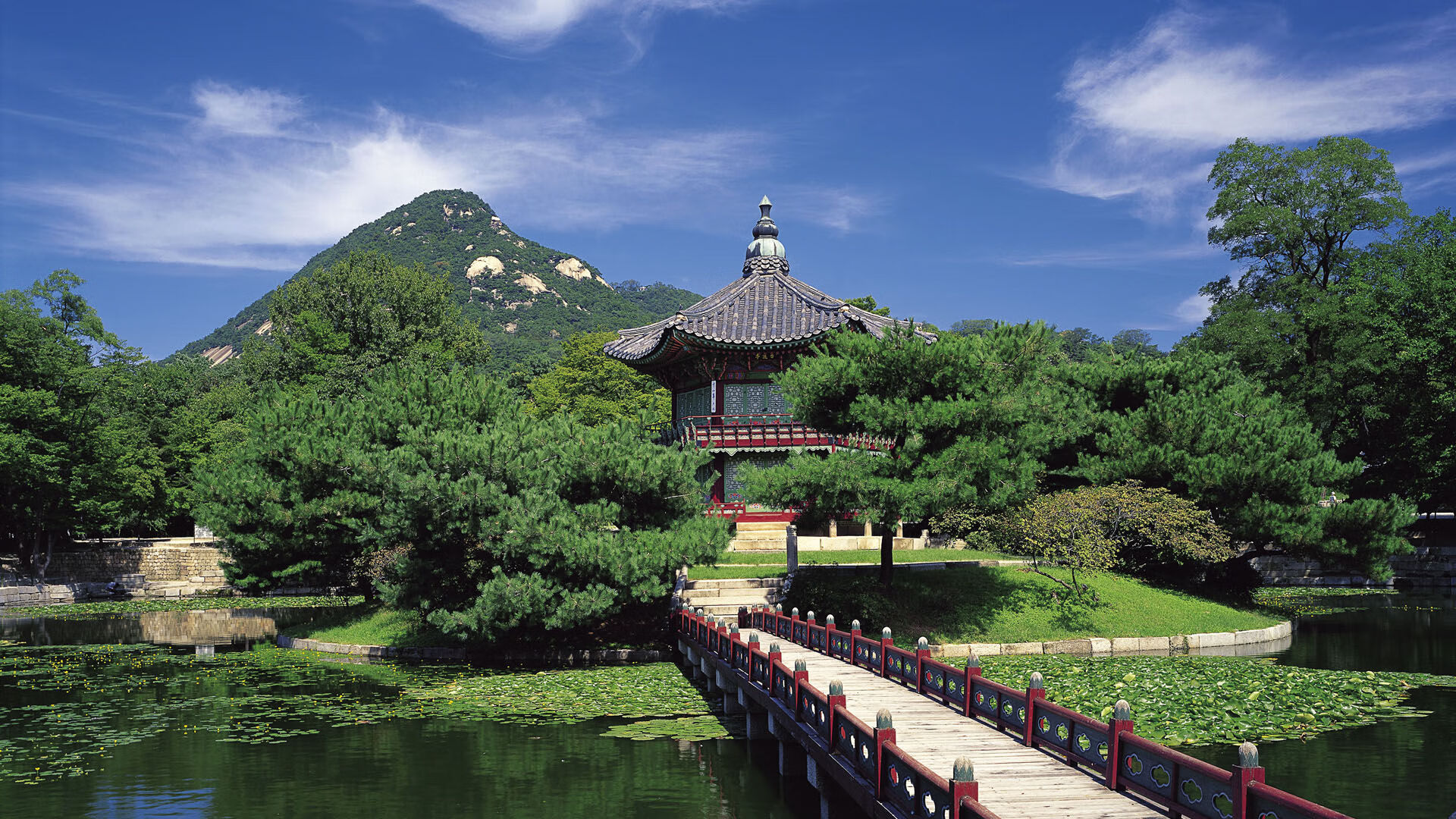 门兴格拉德巴赫新星闪耀赛场,门兴格拉德巴赫欧冠