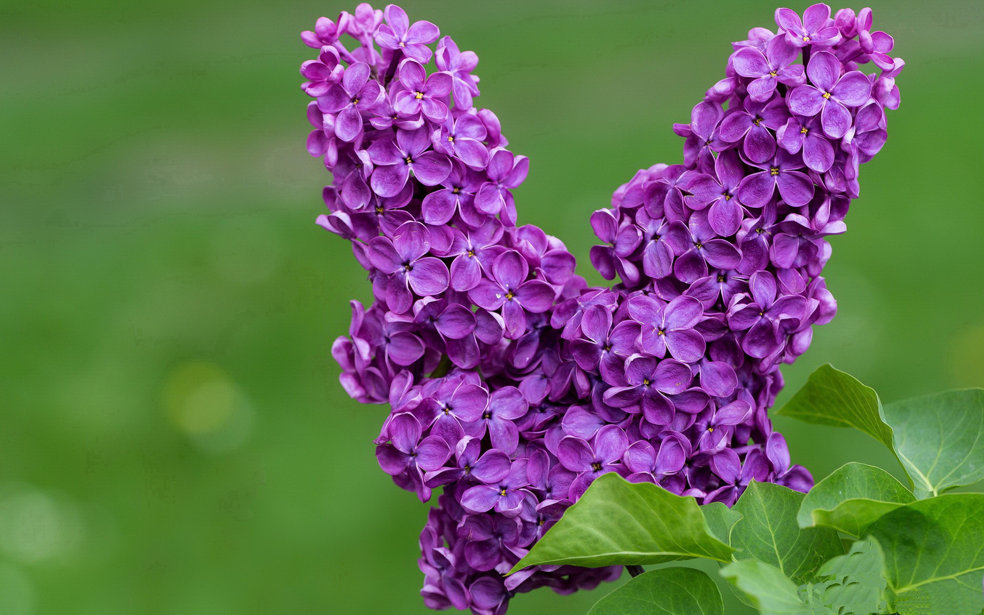 开云app安全认证-中国女篮强化内线协防 阻断对手突破路线，中国女篮战术