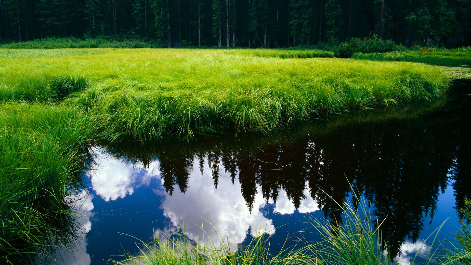 kaiyun app-亚历克斯·格林伍德的防守能力帮助袋鼠队在关键时刻取得优势，格林伍德球员