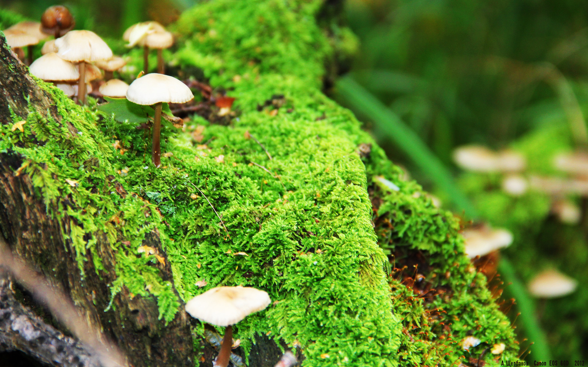 国家队引入高原训练营提高身体适应极端环境能力,国家高原体育训练基地