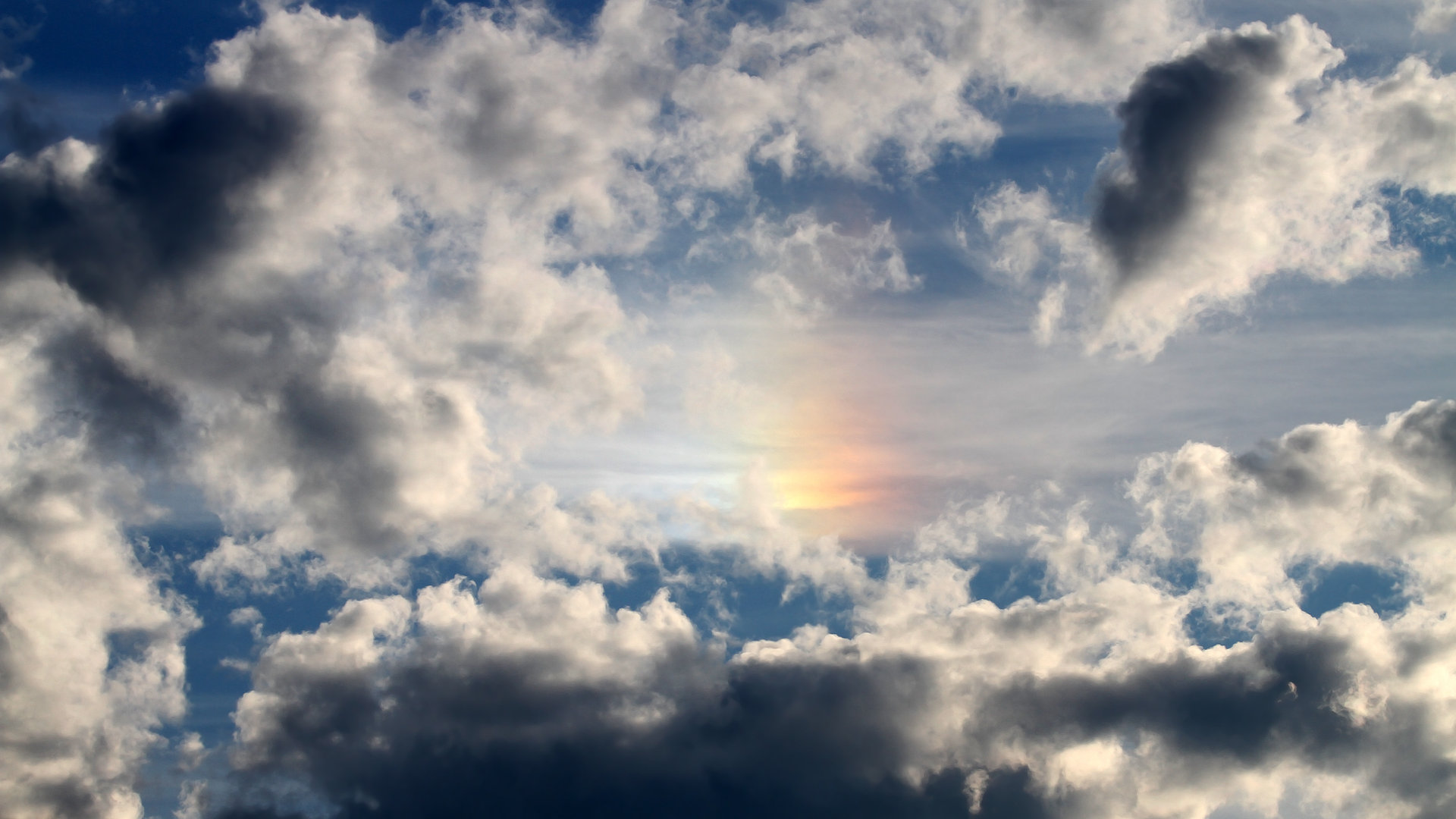 国际马拉松赛事报名最新情况，国际马拉松赛跑赛程