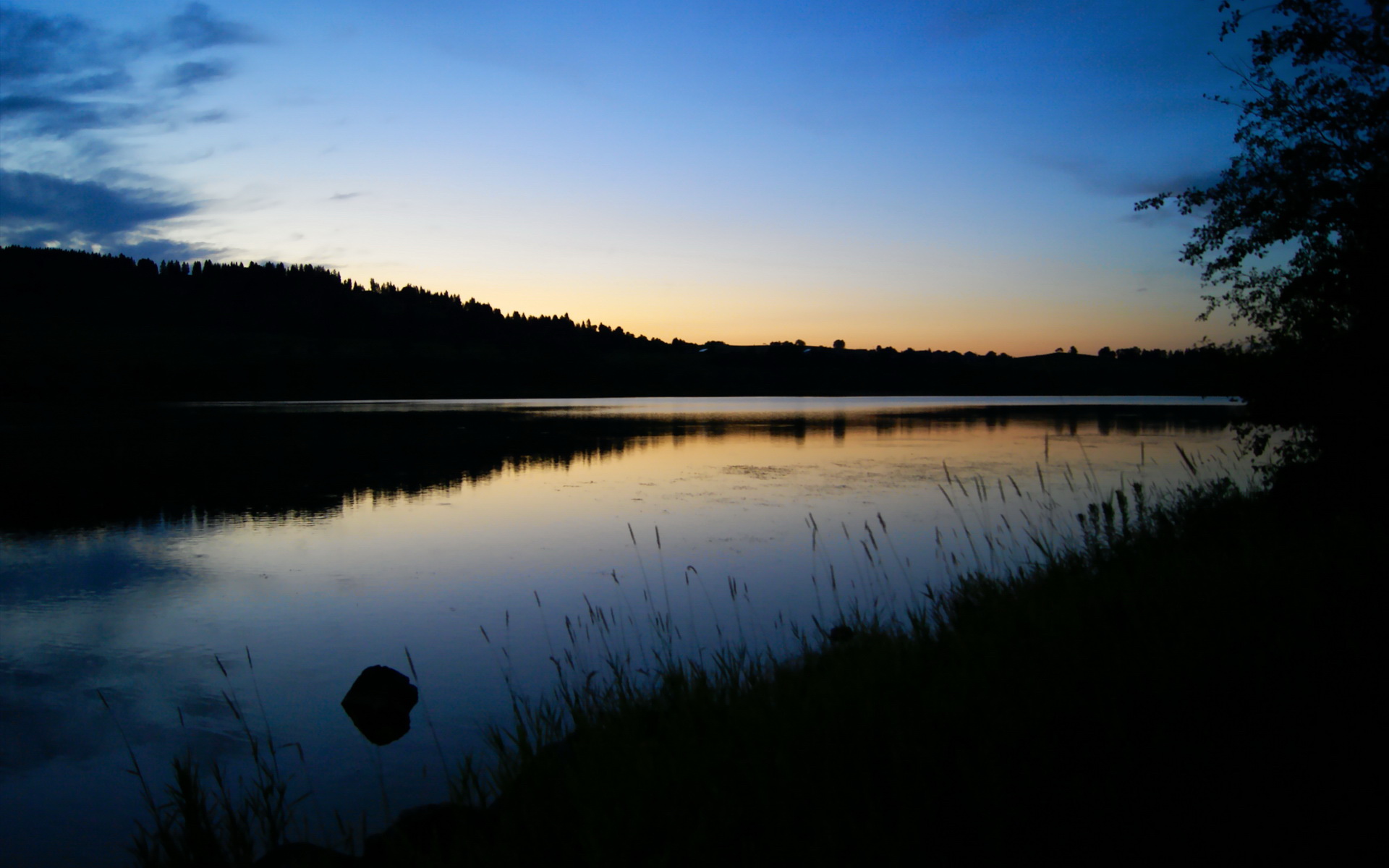 开云平台-格雷琴·沃尔什连续打破赛道纪录，格雷沃斯
